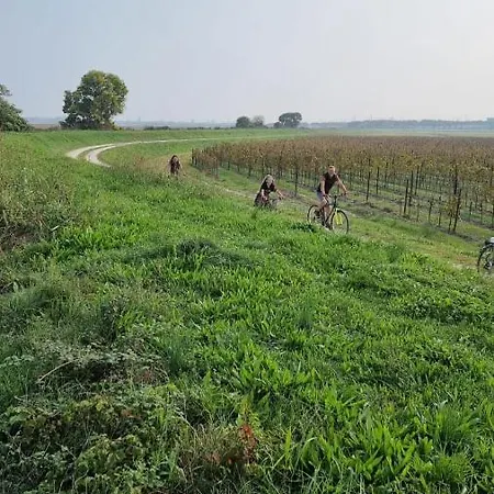 Lunasole Casa Mare * Aprilia Marittima
