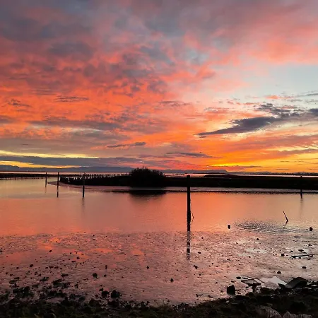 Daire Lunasole Casa Mare Aprilia Marittima