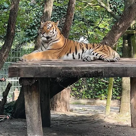 Daire Lunasole Casa Mare