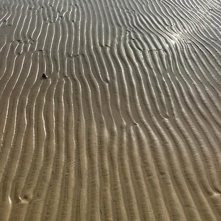 Lunasole Casa Mare Lägenhet Aprilia Marittima